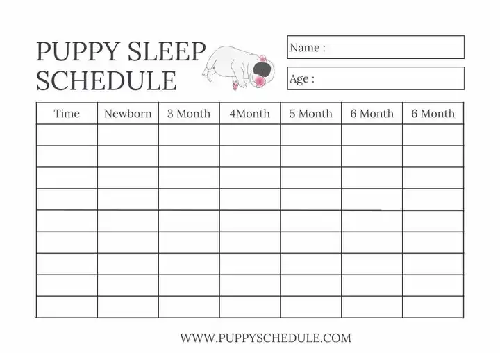 10+ Free Puppy Sleep Schedule by Age: Expert Tips & Advice - puppy schedule