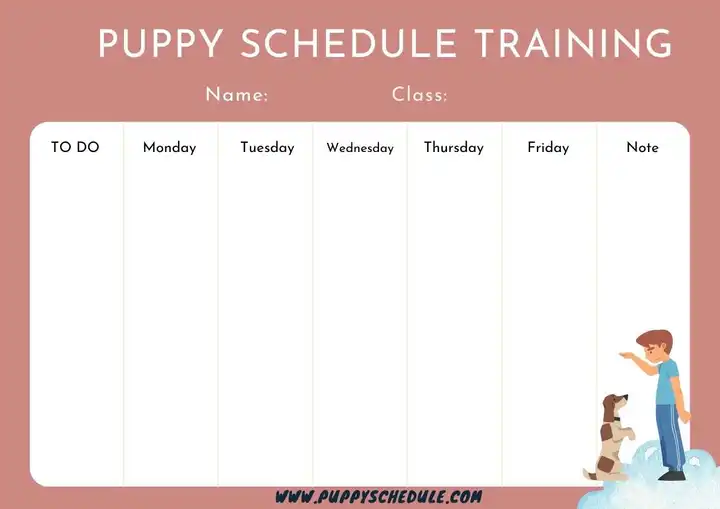 How to Create a Perfect Puppy Training Schedule Template A Stepby