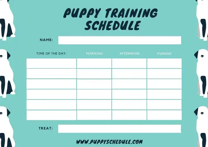 How to Create a Perfect Puppy Training Schedule Template: A Step-by ...